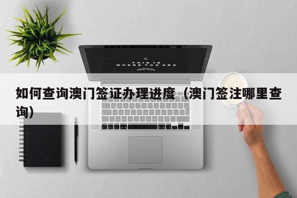 如何查询澳门签证办理进度（澳门签注哪里查询）